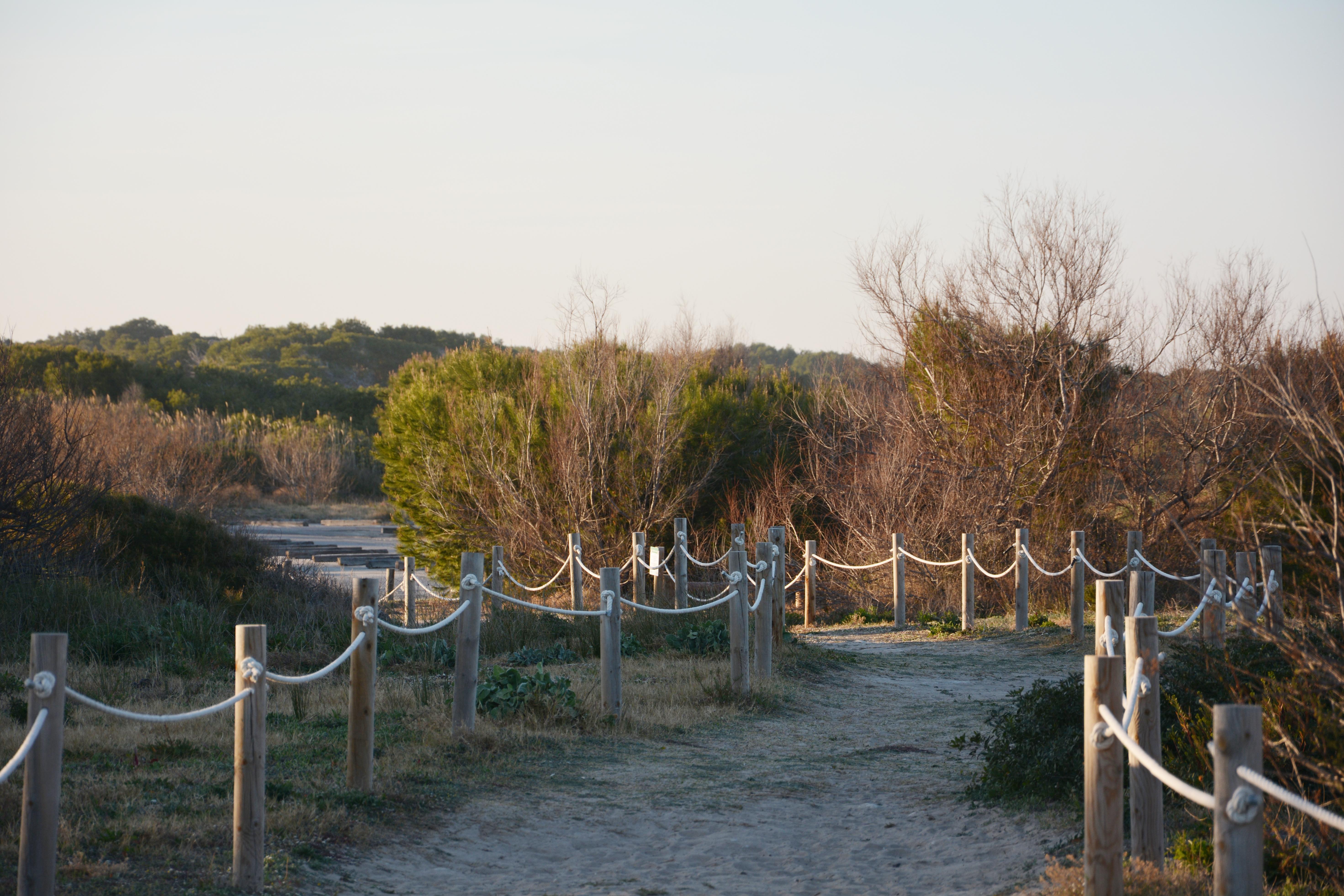 You & Co. Saler Beach Boutique — Photos 1